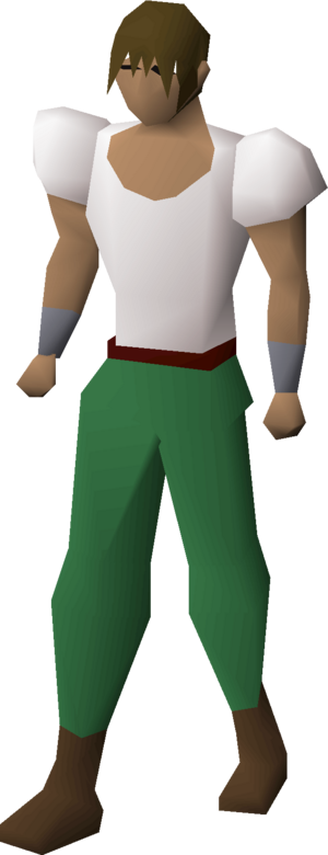 Royal frog blouse equipped male.png