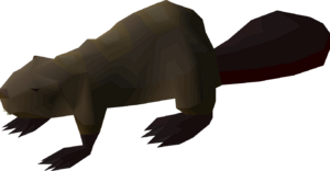 Beaver detail.png