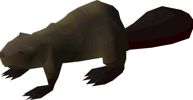 File:Beaver detail.png