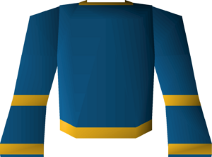 Blue wizard robe (g) detail.png