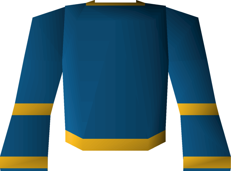 File:Blue wizard robe (g) detail.png