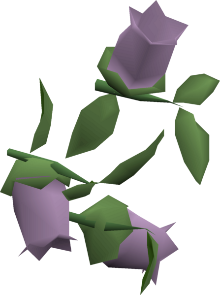 File:Nightshade 3 detail.png