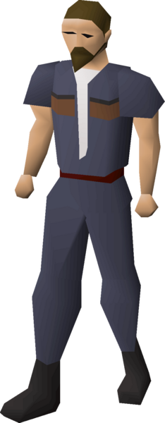 File:Clan wars cape (8) equipped.png