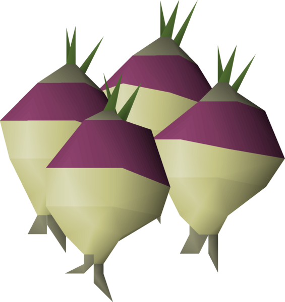 File:Shrunk ogleroot 4 detail.png