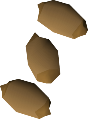 Calquat tree seed 3 detail.png