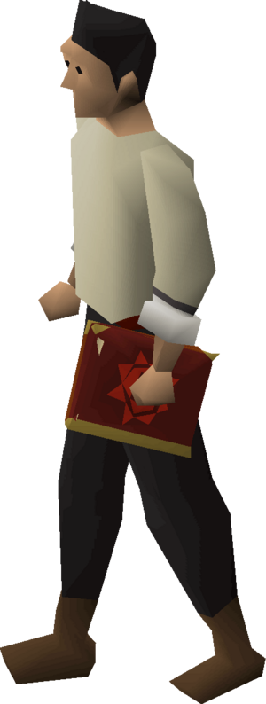 Mage's book equipped.png
