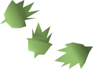 Cactus seed 3 detail.png