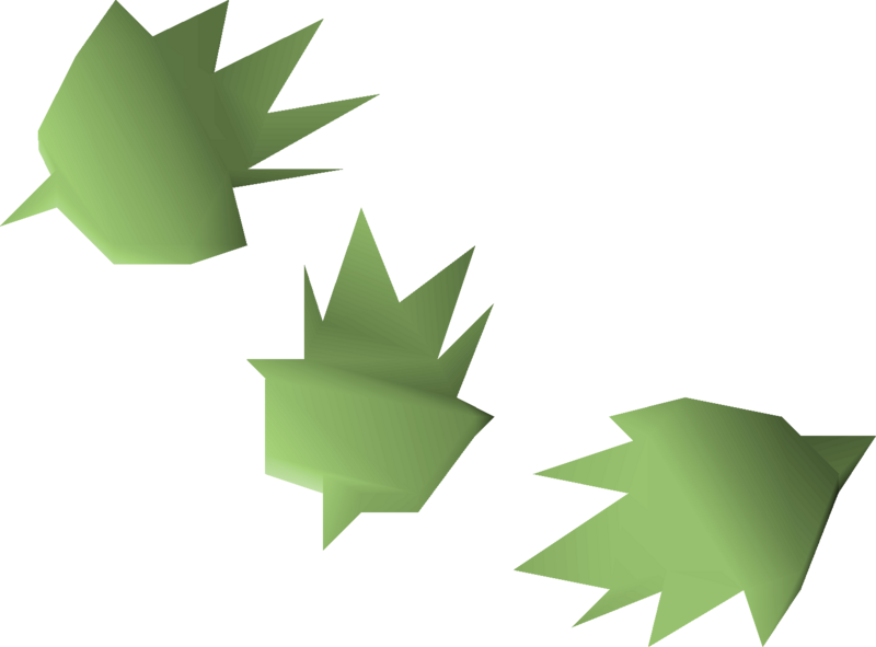 File:Cactus seed 3 detail.png