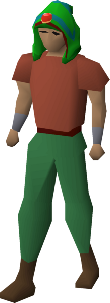 File:Guthix max hood equipped.png