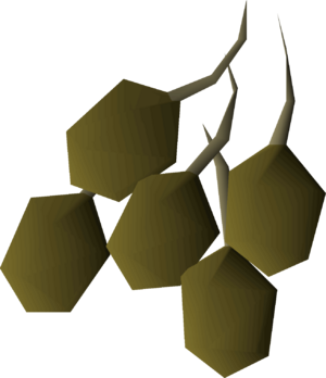 Potato seed detail.png