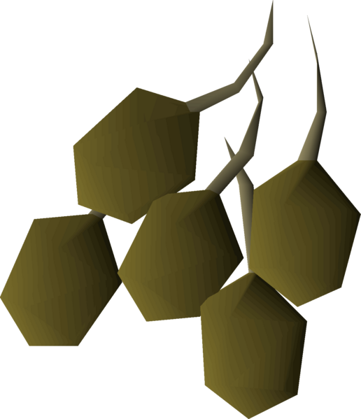 File:Potato seed detail.png