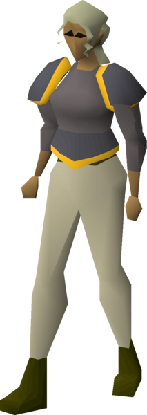 File:Iron platebody (g) equipped female.png
