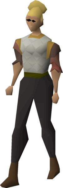 File:Mixed hide top equipped female.png