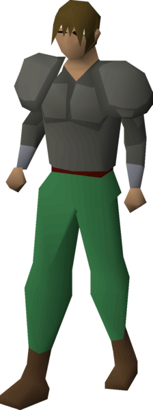 File:Rock-shell plate equipped male.png
