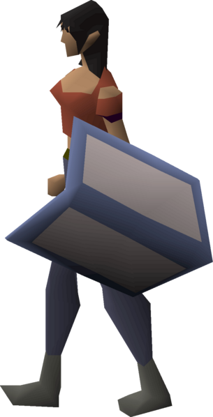 File:Training shield equipped female.png