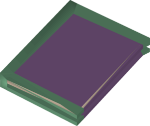 Ancient ledger detail.png