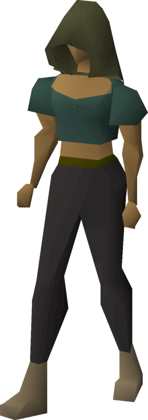 Ahrim's hood equipped female.png