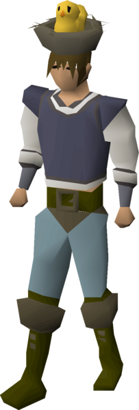 File:Nest hat (chick) equipped male.png