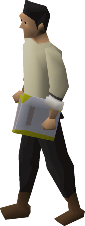 Book of law equipped.png
