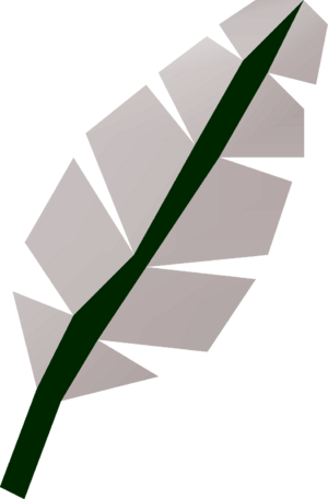 Feather detail.png