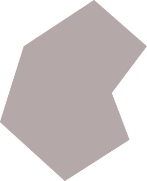 White butterfly wing detail.png