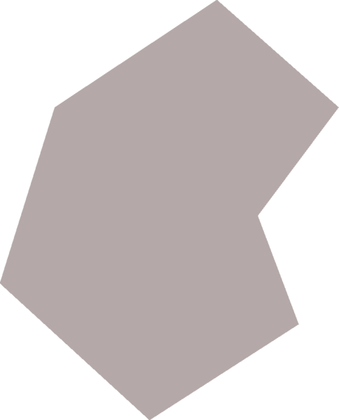 File:White butterfly wing detail.png