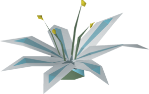 Lily of the elid detail.png