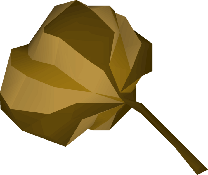 File:Royal seed pod detail.png