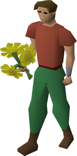 Yellow flowers equipped.png