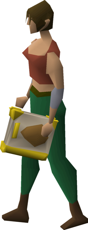 Book of egg equipped female.png