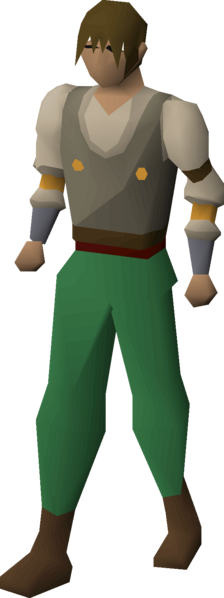 File:Carpenter's shirt equipped male.png