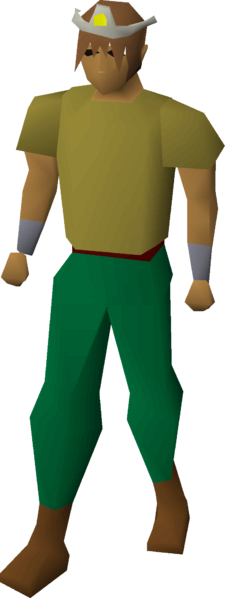 File:Cosmic tiara equipped.png