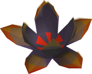 Grimy buchu leaf detail.png