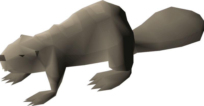 File:Beaver (arctic pine) detail.png