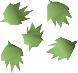 Cactus seed detail.png