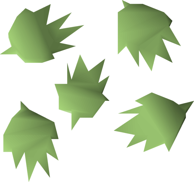 File:Cactus seed detail.png