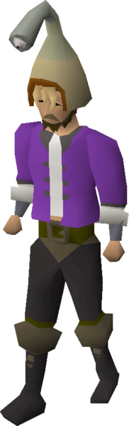 File:Healer hat equipped.png