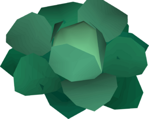 Rotten cabbage detail.png