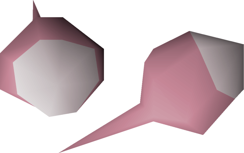 File:White rose seed 2 detail.png