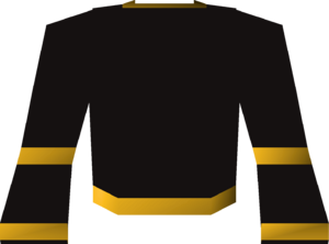 Black wizard robe (g) detail.png