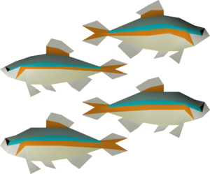Minnow 4 detail.png