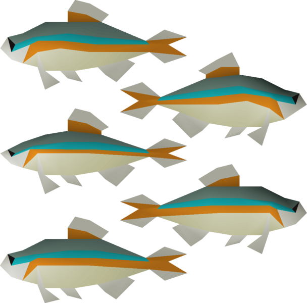 File:Minnow detail.png