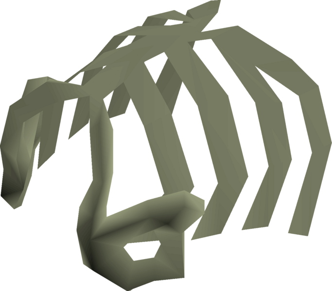 File:Rare fossilised ribs detail.png