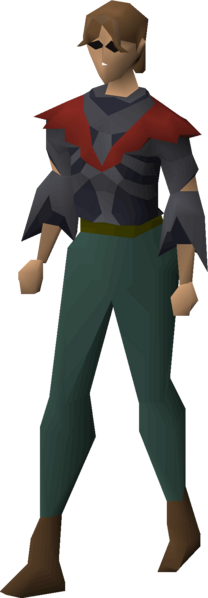 File:Robe top of ruin equipped female.png