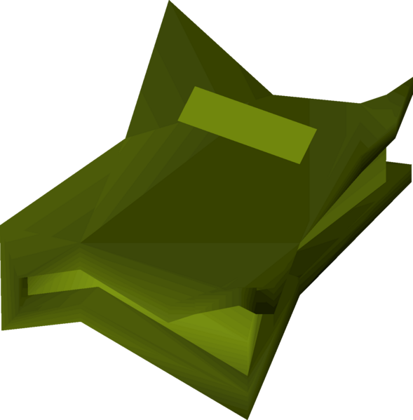 File:Shaman's tome detail.png