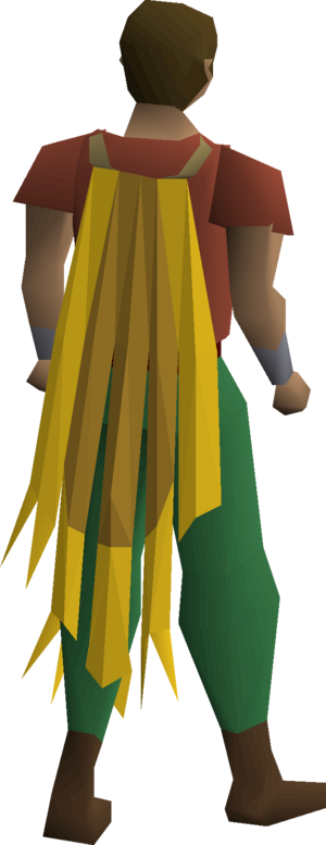 Team-19 cape equipped.png