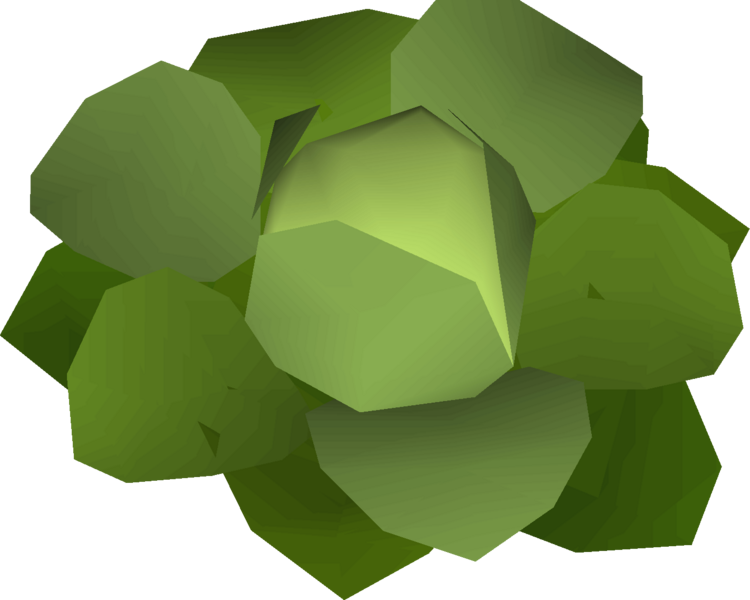 File:Cabbage (unobtainable item) detail.png