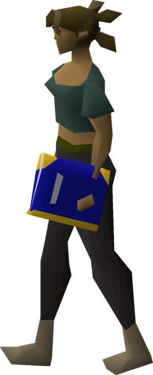 Holy book equipped female.png
