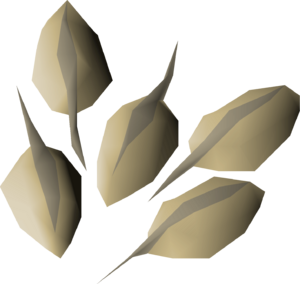 Woad seed detail.png