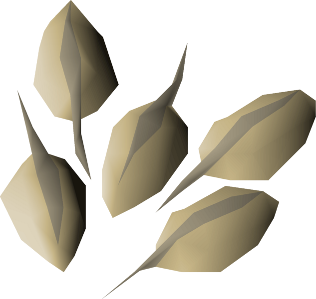 File:Woad seed detail.png